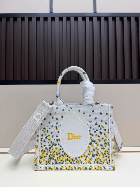 디올 가방