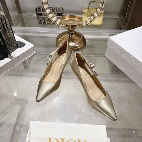 디올 구두